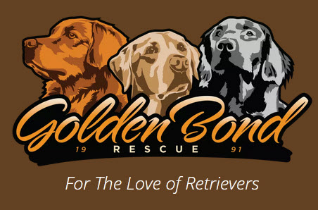 Golden Bond Rescue
